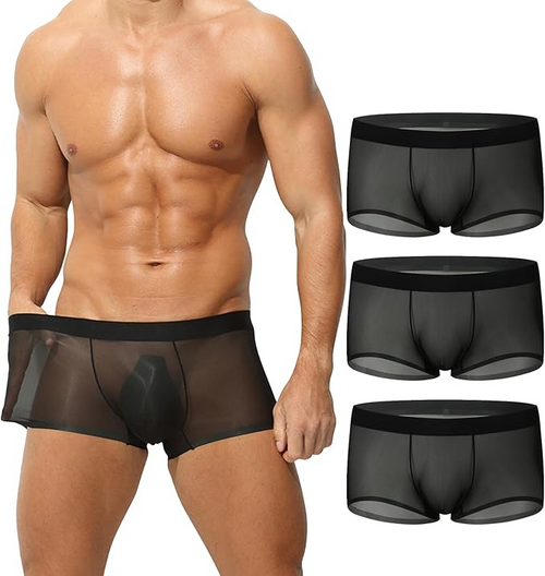 ✨Men's Ultra-Thin Ice Silk Transparent Boxer Briefs