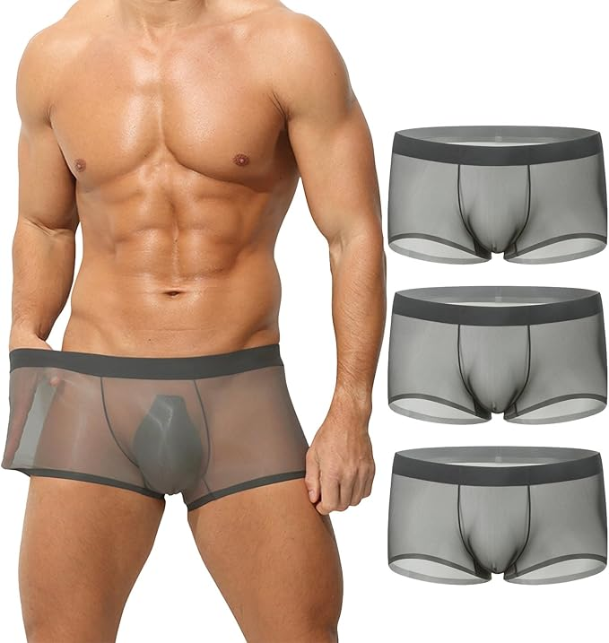 ✨Men's Ultra-Thin Ice Silk Transparent Boxer Briefs