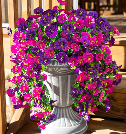 Perfect home garden decoration – 🌎hanging morning glory
