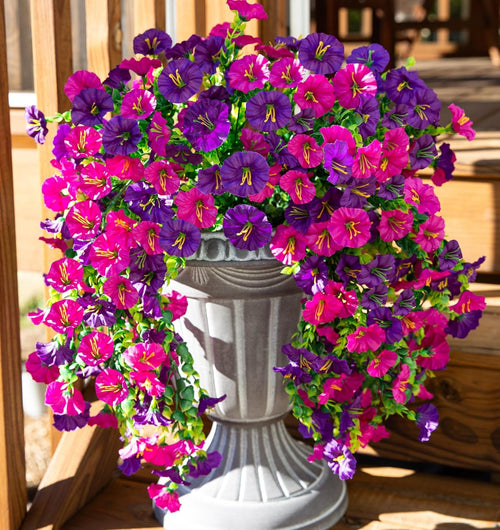 Perfect home garden decoration – 🌎hanging morning glory