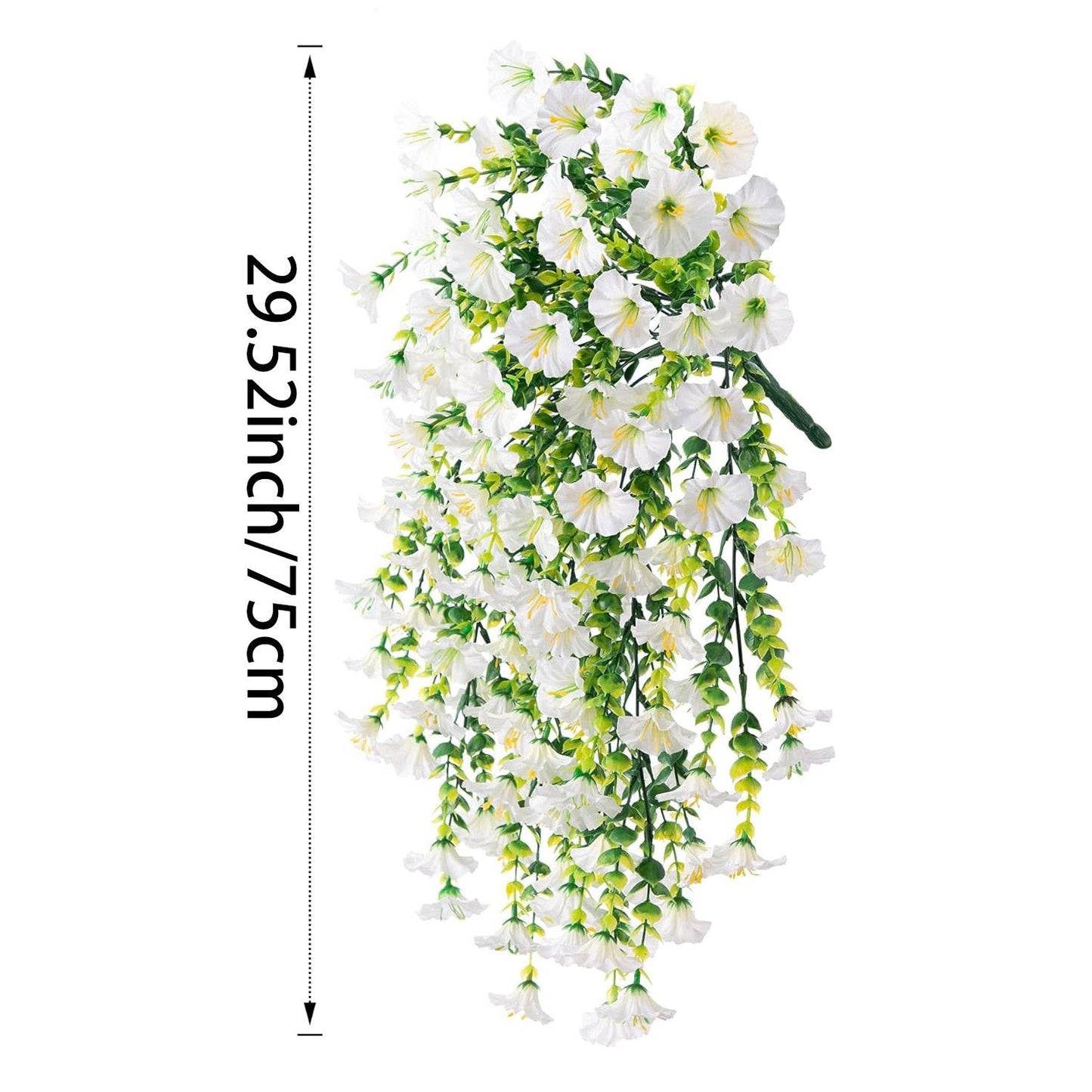 Perfect home garden decoration – 🌎hanging morning glory