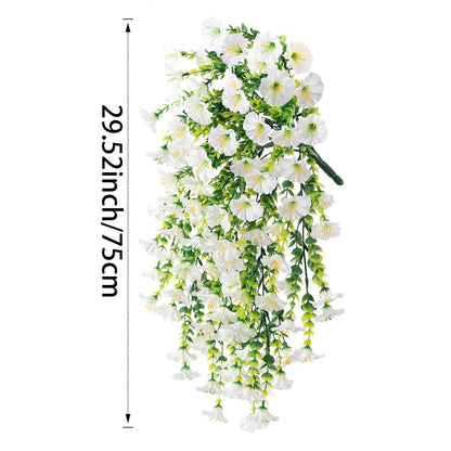 Perfect home garden decoration – 🌎hanging morning glory