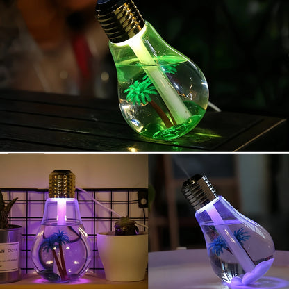 Small Light Bulb, Big Moisture—My Room Went From Desert to Rainforest!