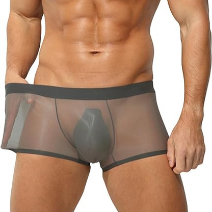 ✨Men's Ultra-Thin Ice Silk Transparent Boxer Briefs