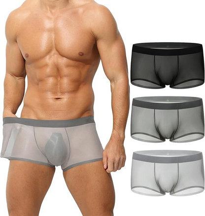 ✨Men's Ultra-Thin Ice Silk Transparent Boxer Briefs