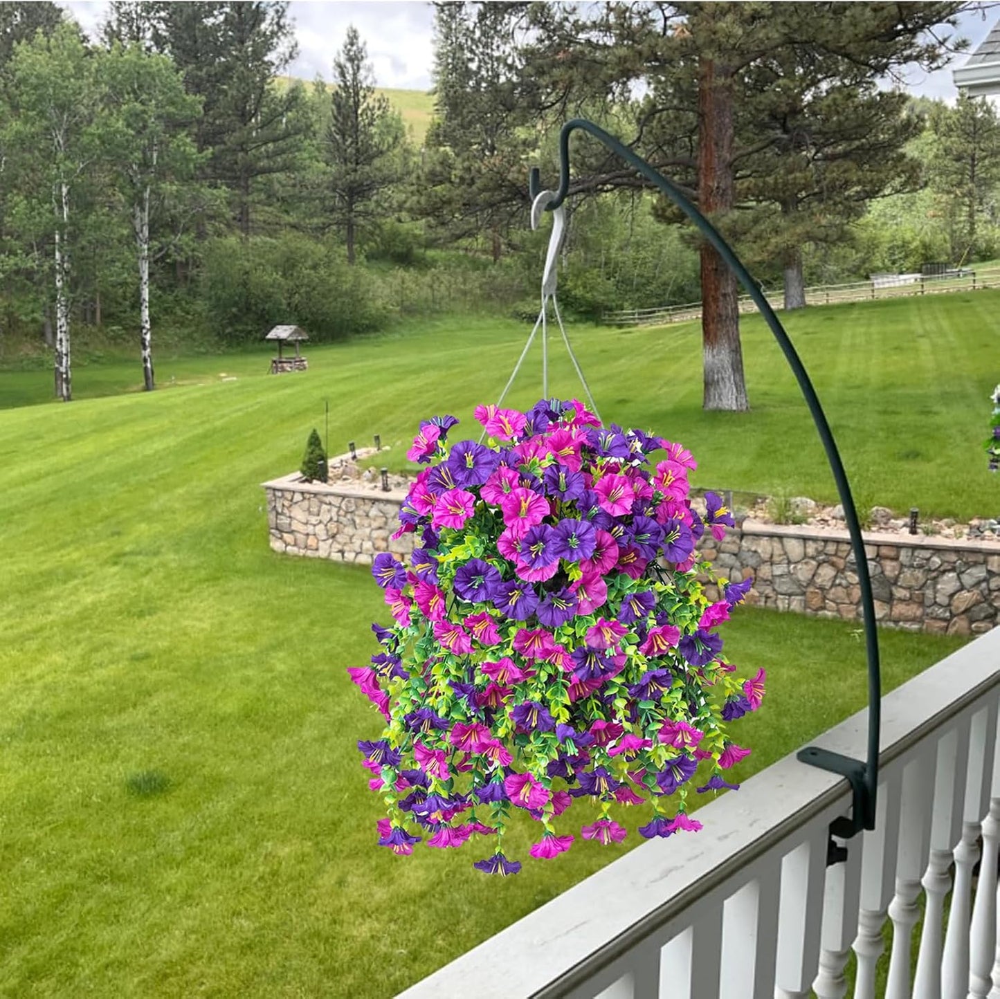 Perfect home garden decoration – 🌎hanging morning glory
