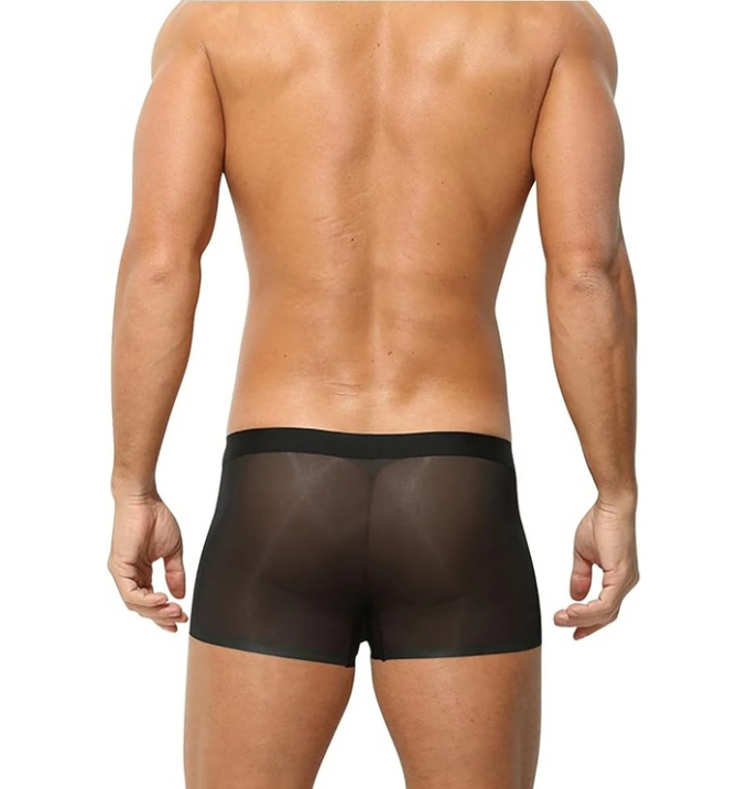 ✨Men's Ultra-Thin Ice Silk Transparent Boxer Briefs